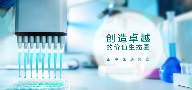 正中医药集团有限公司 正中医药集团有限公司